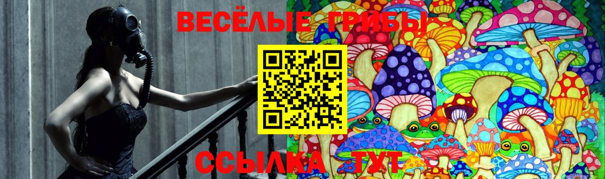 Галлюциногенные грибы мицелий Железноводск