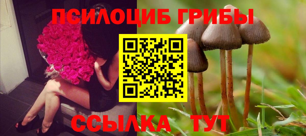 Галлюциногенные грибы Magic Shrooms  Вход с VPN  Псилоцибиновые грибы Magic Shrooms  Железноводск 