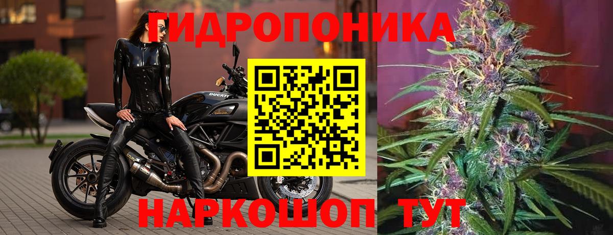 Бошки марихуана OG Kush  Шишки марихуана MAZAR  Железноводск  Вход с VPN  МАРИХУАНА Ganja 